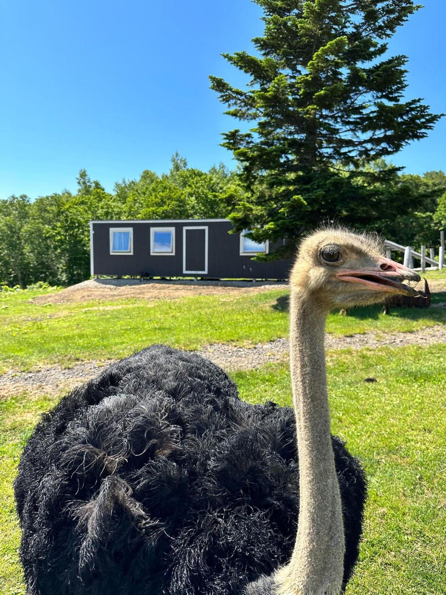 Margo's Garden Farmstay, Kiroro Farm stay Akaigawa